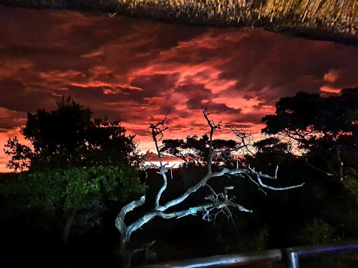 636 Itaga Safari Lodge, Mabalingwe Nature Reserve Mabula Game Reserve Ngoại thất bức ảnh