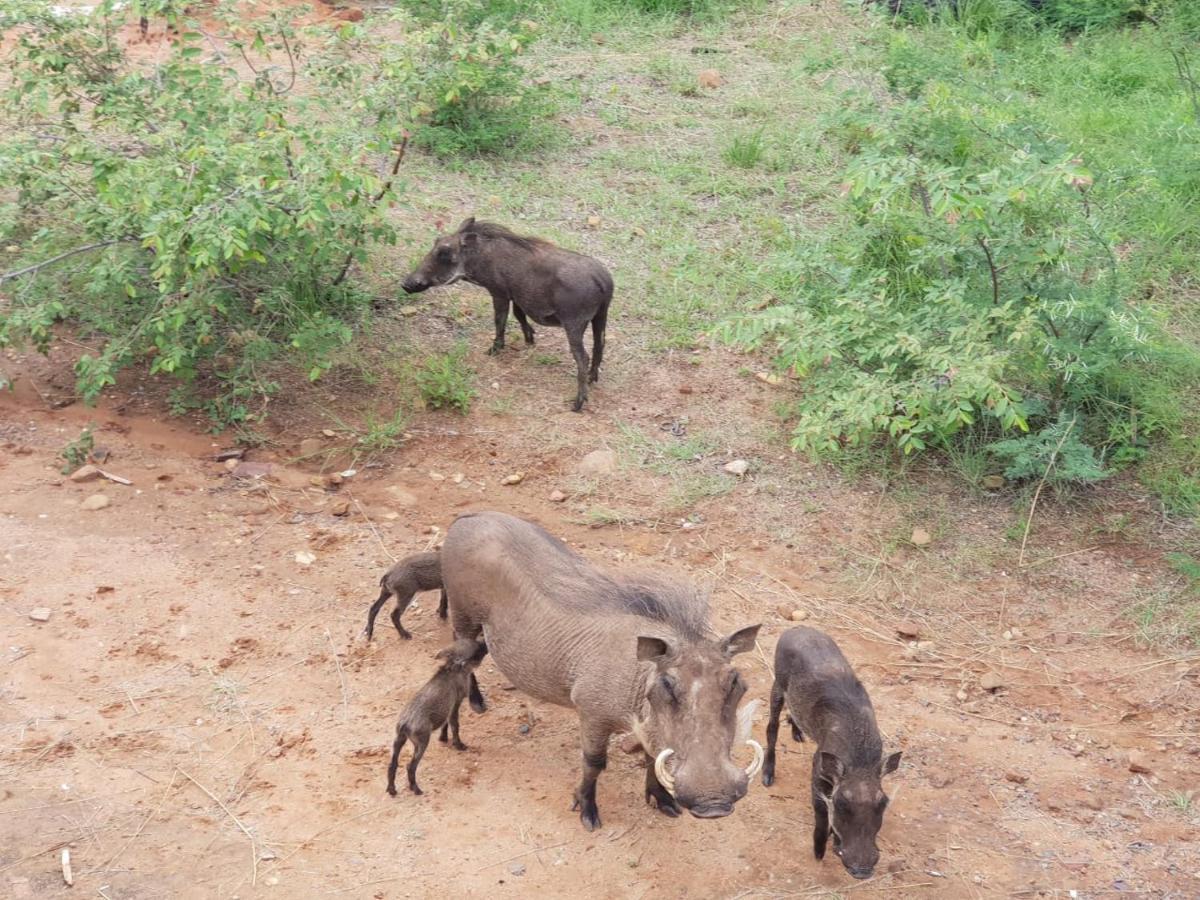 636 Itaga Safari Lodge, Mabalingwe Nature Reserve Mabula Game Reserve Ngoại thất bức ảnh